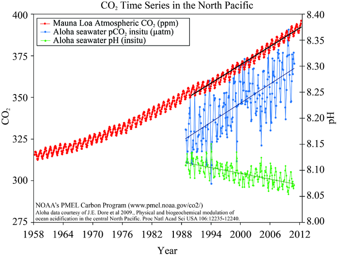 CO2 time series