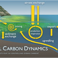 Coastal Carbon Dynamics Image 2