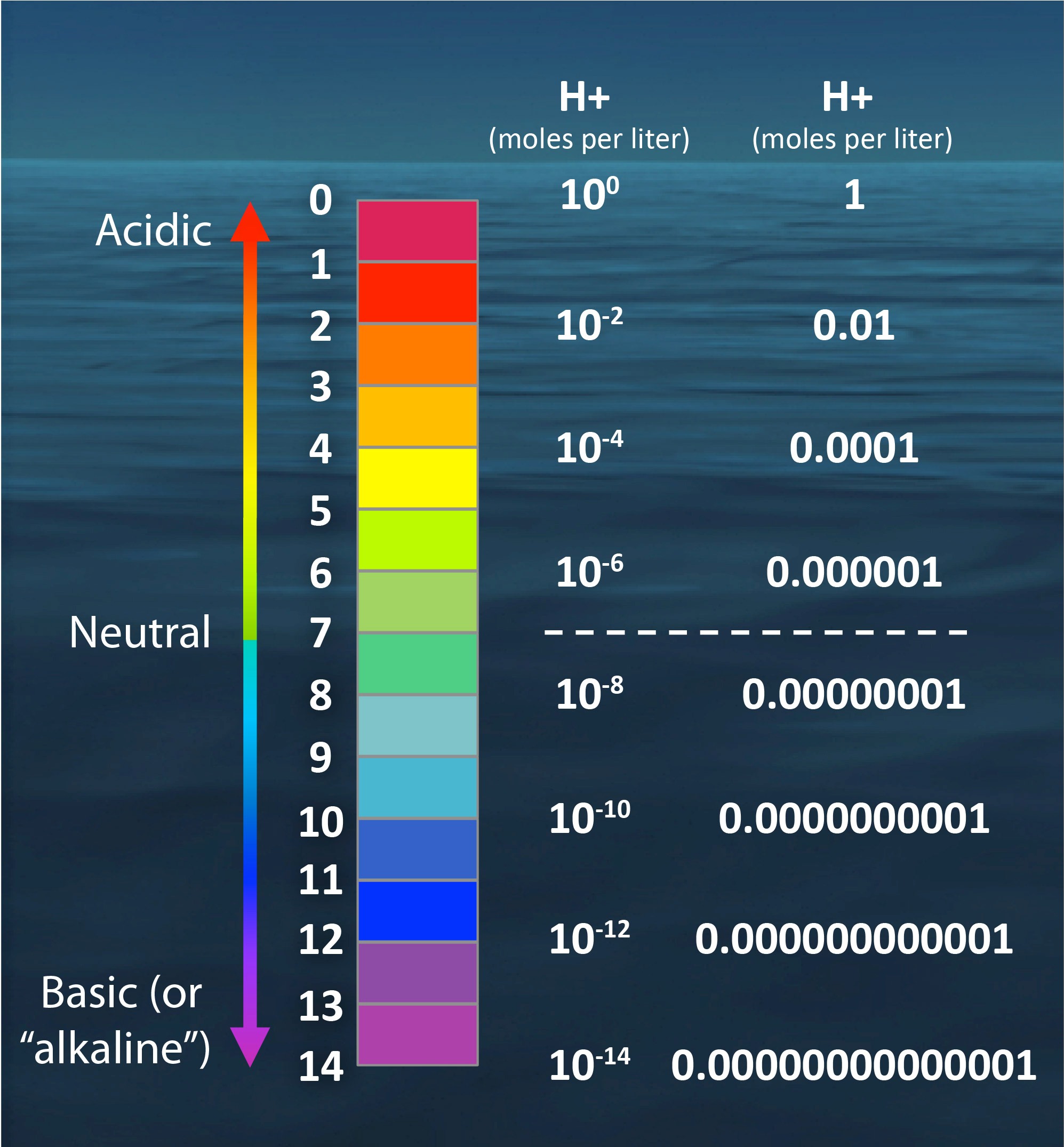 The PH Scale By Numbers