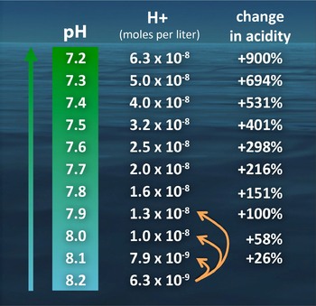 Percent change in acidity