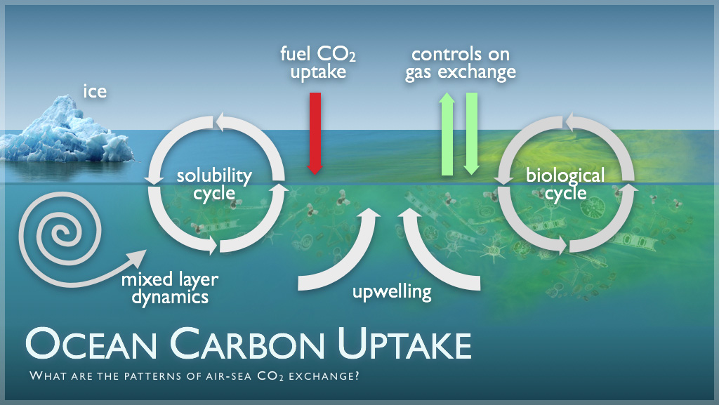 ocean-carbon-uptake-image