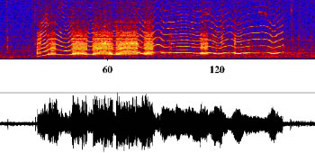Iceberg harmonic tremor spectrogram