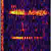 icequake (bloop) spectrogram
