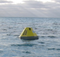 Bermuda Reef buoy