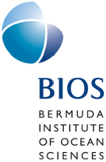 BIOS logo