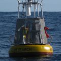 California Current Ecosystem (CCE) Buoy