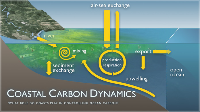 Coastal Carbon Dynamics Image 2