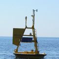 Coastal MS buoy