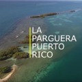 Tracking Ocean Acidification in Puerto Rico: A Video Journey