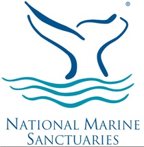 NMSP logo
