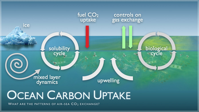 Ocean Carbon Uptake Image