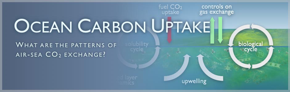 Ocean Carbon Uptake