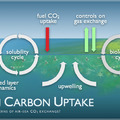 Ocean Carbon Uptake Image