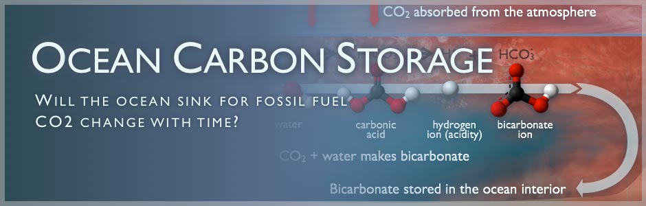 Ocean Carbon Storage