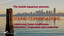 Seattle Aquarium Video