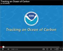 Tracking Carbon video