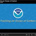 Tracking an Ocean of Carbon