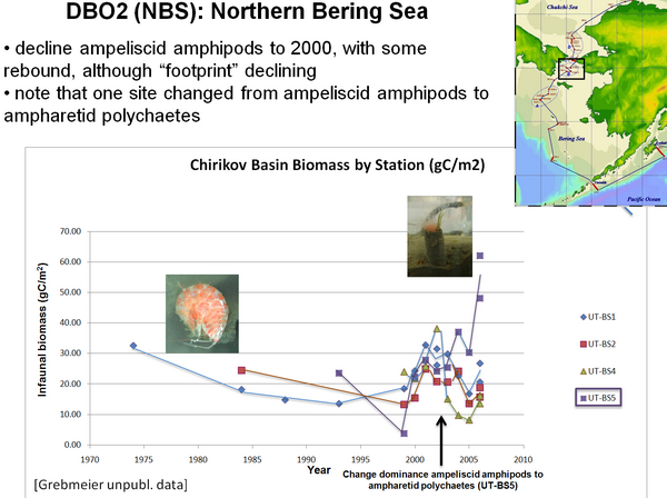 DBO2 (NBS):  North Bering Sea