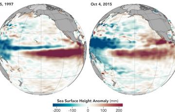 A comparison of the 2015 and 1997 El Niños, two of the strongest on record, in October of each respective year. Observations of sea surface heights and temperatures, as well as wind patterns, show surface waters cooling off in the Western Pacific and warming significantly in the tropical Eastern Pacific.  Credit: NASA’s Earth Observatory.