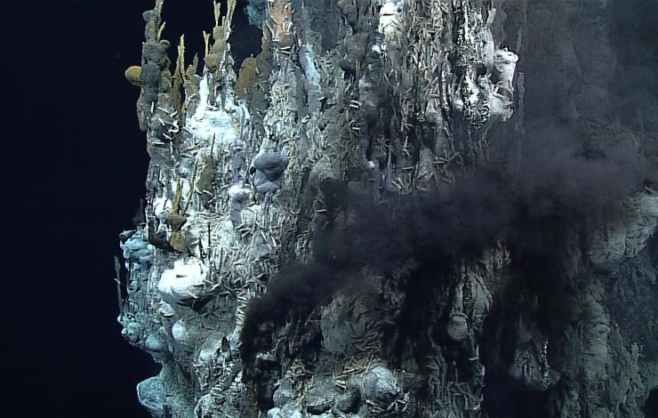 image of hydrothermal vent