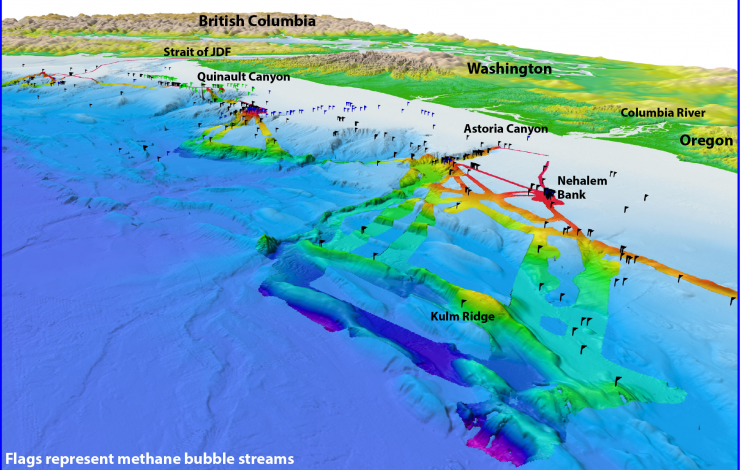 Methane Seeps - Northern Cascadia Margin