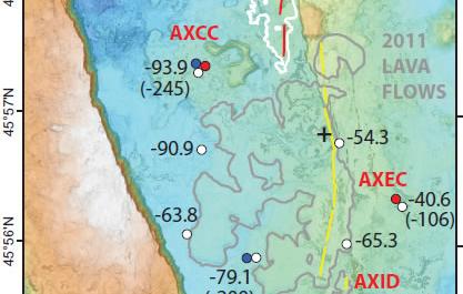 Vertical displacements at measured sites at Axial Seamount