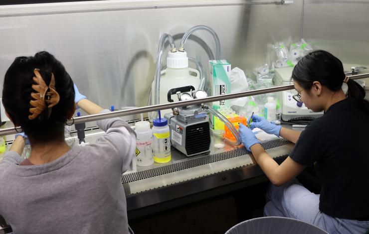 Mugdha and Karina filtering ethanol aliquots on a manifold in the biosafety cabinent
