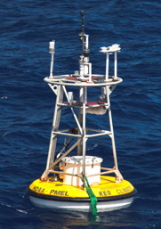 Photo of a KEO buoy