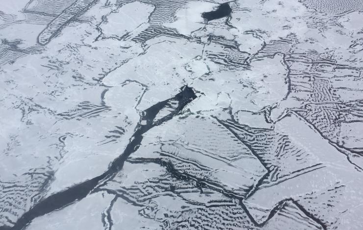 A mosaic of young sea ice captured during a flight campaign over the Chukchi Sea launching various atmospheric and oceanographic probes and floats.