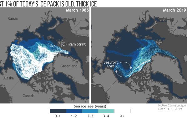 The proportion of old, thick ice in the Arctic's winter maximum ice pack has dropped from more than a third in the mid-1980s to barely just 1 percent today