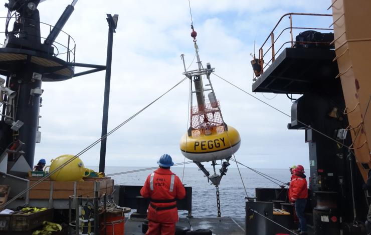 M2, a biophysical mooring, nicknamed Peggy after Peggy Dyson being deployed in the Bering Sea. 