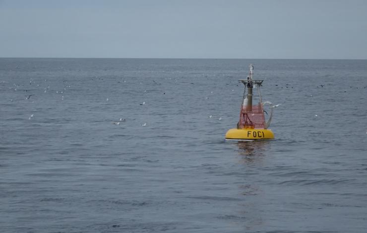 A mooring used by EcoFOCI in the Bering Sea to understand the determine the influence of the physical and biological environments on marine populations and the subsequent impact on fisheries