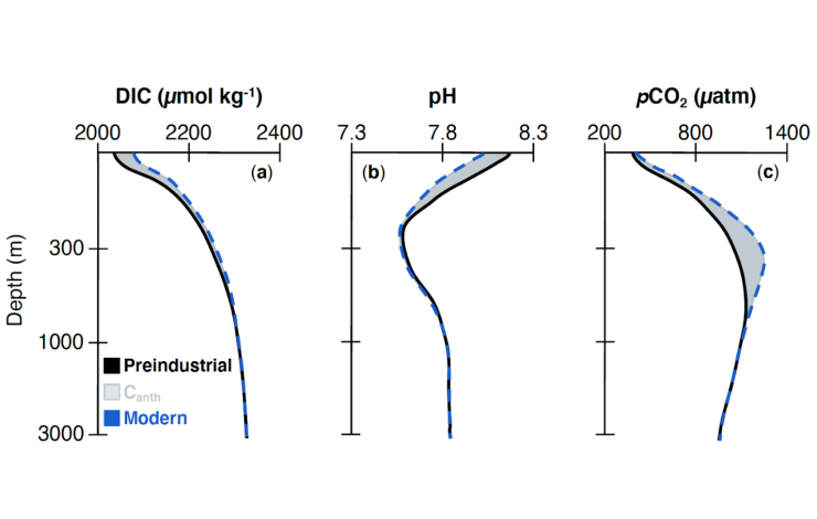 Three graphs showing blue, black and grey curved lines for Dissolved Inorganic Carbon, pH and pCO2 and how the line varies by depth