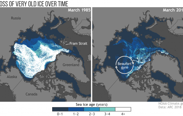 These maps show the age of sea ice in the Arctic ice pack in March 1985 (left) and March 2018 (right). Less than 1 percent of Arctic ice has survived four or more summers. 