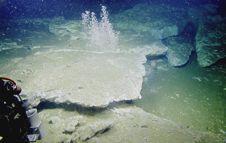 Underwater image of the seafloor with a grey carbonate shelf with methane bubbles rising above
