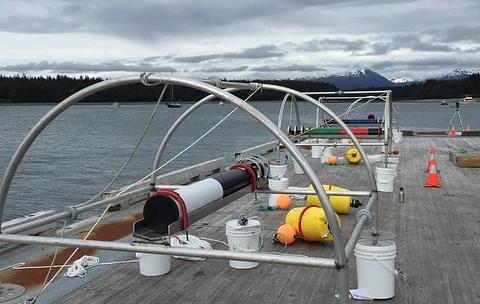 An underwater hydrophone prior to deployment in Glacier Bay National Park and Preserve. 
