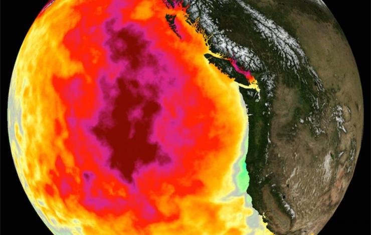 Earth overlaid with monthly sea surface temperature for May 2015