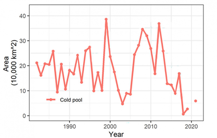 Line graph of the Bering Sea cold pool extent over the years