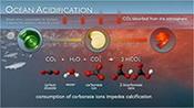 image depicting the process of ocean acidification