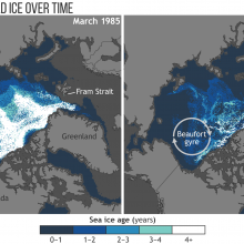 These maps show the age of sea ice in the Arctic ice pack in March 1985 (left) and March 2018 (right). Less than 1 percent of Arctic ice has survived four or more summers. 
