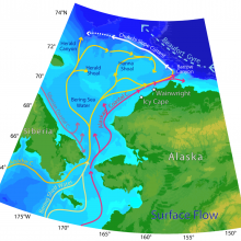 Map of Alaskan waters showing various branches of the flow in the Chukchi Sea and along the slope. 