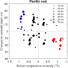 This diagram shows that Pacific cod were caught deeper in warm years (red dots), and shallower in cold years (blue dots), than in near-average years (black dots, average temperature ±1 standard deviation).  