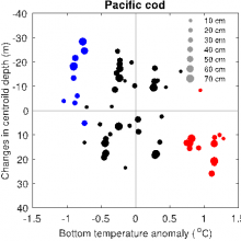 This diagram shows that Pacific cod were caught deeper in warm years (red dots), and shallower in cold years (blue dots), than in near-average years (black dots, average temperature ±1 standard deviation).